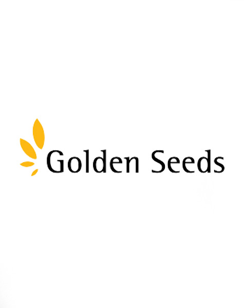 Golden Seeds logo, a Capital Honors honoree