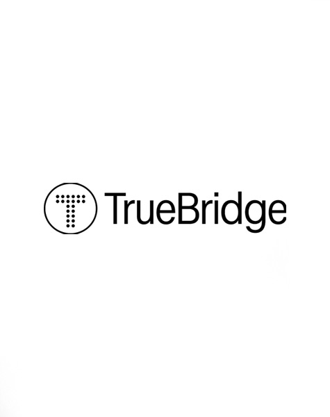 TrueBridge Capital Partners logo, a Capital Honors honoree