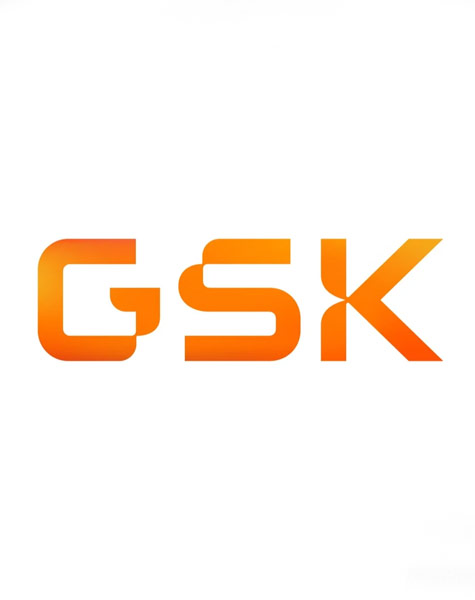 GlaxoSmithKline (GSK) logo — Med Honors recognized Pharmaceutical